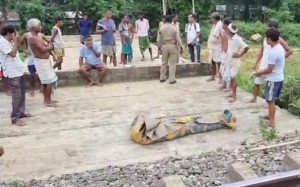 Accident