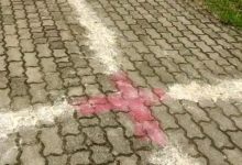 Assam Meghalaya Border