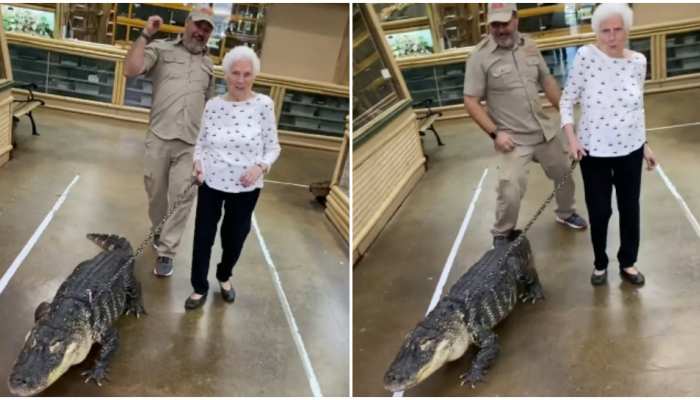 Old lady walking with crocodile