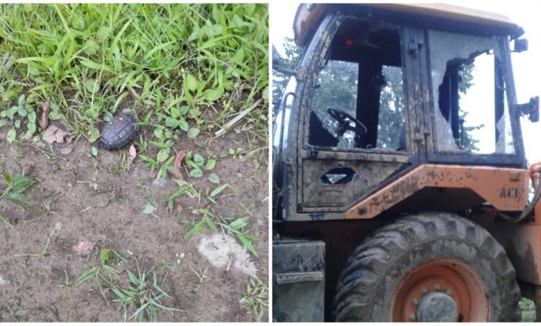 Grenade Blast in Nagaland