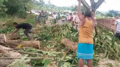 Karbi Anglong Protest