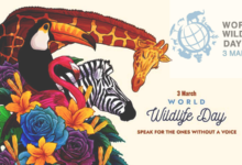 World Wildlife Day 2023... Why is World Wildlife Day marked?