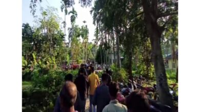 নগাঁও জিলাৰ ননৈৰ পিছত এইবাৰ বঢ়মপুৰত বাঘৰ আতংক, বাঘৰ খোজ দেখি আতংকিত হৈ পৰিছে বাসিন্দাসকল