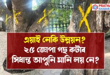 এয়াই নেকি উন্নয়ন? ২৫ জোপা গছ কটাৰ সিধান্ত আপুনি মানি লয় নে?