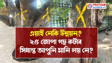 এয়াই নেকি উন্নয়ন? ২৫ জোপা গছ কটাৰ সিধান্ত আপুনি মানি লয় নে?