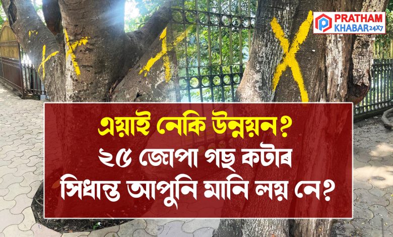 এয়াই নেকি উন্নয়ন? ২৫ জোপা গছ কটাৰ সিধান্ত আপুনি মানি লয় নে?