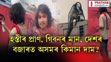 হস্তীৰ প্ৰাণ, গিবনৰ মান, দেশৰ বজাৰত অসমৰ কিমান দাম?
