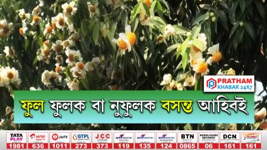 ফুল ফুলক বা নুফুলক বসন্ত আহিবই....নাহৰৰ পাতত পৰি কুলীয়ে বিনাইছে। চৌদিশে ব'হাগ-ব'হাগ গোন্ধ।