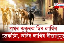 দিল্লীৰ পথৰ কুকুৰক আৱদ্ধ কৰি ৰাখিব নোৱাৰিব, উচ্চতম ন্যায়ালয়ৰ গুৰুত্বপূৰ্ণ নিৰ্দেশনা