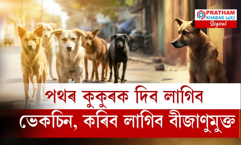 দিল্লীৰ পথৰ কুকুৰক আৱদ্ধ কৰি ৰাখিব নোৱাৰিব, উচ্চতম ন্যায়ালয়ৰ গুৰুত্বপূৰ্ণ নিৰ্দেশনা