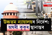 উচ্চতম ন্যায়ালয়ৰ নিৰ্দেশ : অঘৰী কুকুৰৰ স্থানান্তৰ