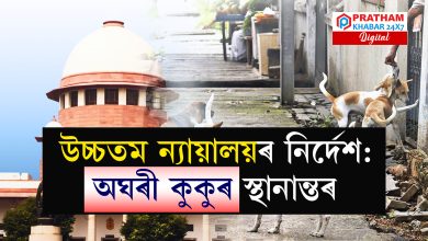 উচ্চতম ন্যায়ালয়ৰ নিৰ্দেশ : অঘৰী কুকুৰৰ স্থানান্তৰ
