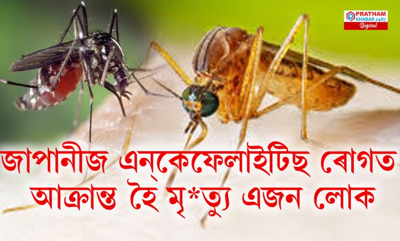 জাপানীজ এন্কেফেলাইটিছ ৰোগত আক্ৰান্ত হৈ মৃত্যু এজন লোক জাপানীজ এন্কেফেলাইটিছ ৰোগত আক্ৰান্ত হৈ মৃত্যু এজন লোক