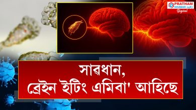 'ব্ৰেইন ইটিং এমিবা' ত ১৮ জন ৰোগীৰ মৃ/ত্যু