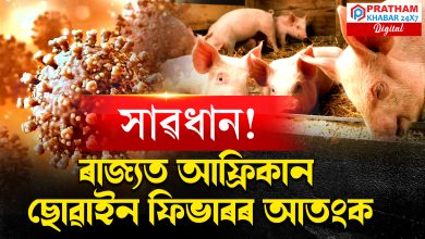 ৰাজ্যত আফ্ৰিকান ছোৱাইন ফিভাৰৰ আতংক