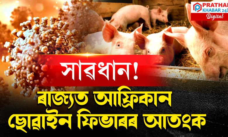 ৰাজ্যত আফ্ৰিকান ছোৱাইন ফিভাৰৰ আতংক