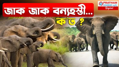 মৰঙিবাসীৰ ভবিষ্যত অন্ধকাৰ