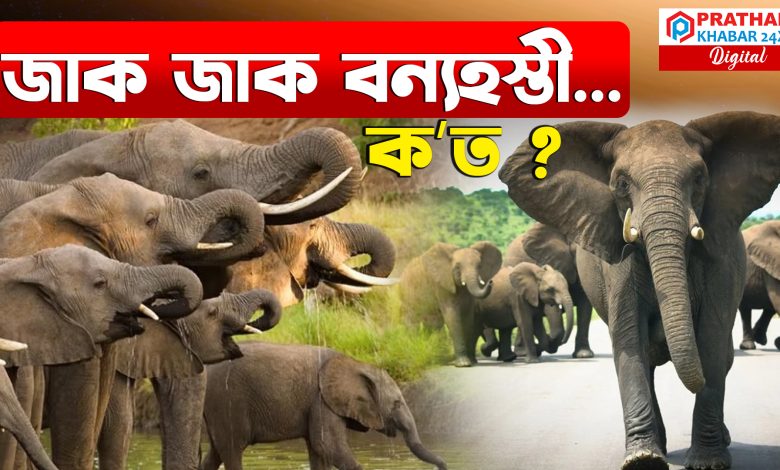 মৰঙিবাসীৰ ভবিষ্যত অন্ধকাৰ