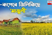 হালধীয়া চাদৰেৰে ঢাকি ধৰা সোণোৱালী পৰিৱেশে মুগ্ধ কৰিব আপোনাক